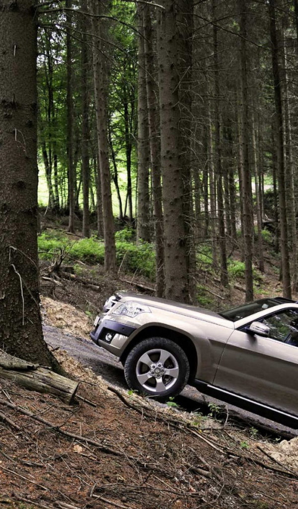 Mercedes Benz GLK прогулка по лесу