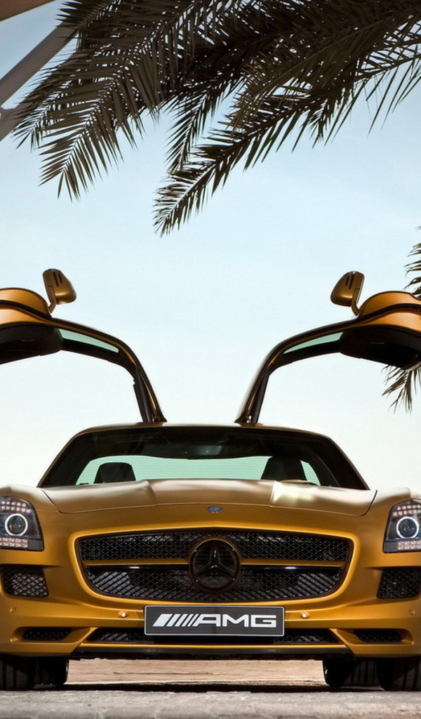 Mercedes Benz SLS AMG Desert Gold в тени пальмы
