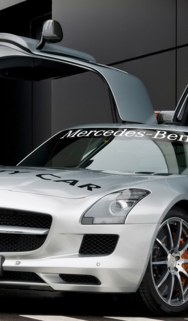Mercedes Benz SLS AMG F1