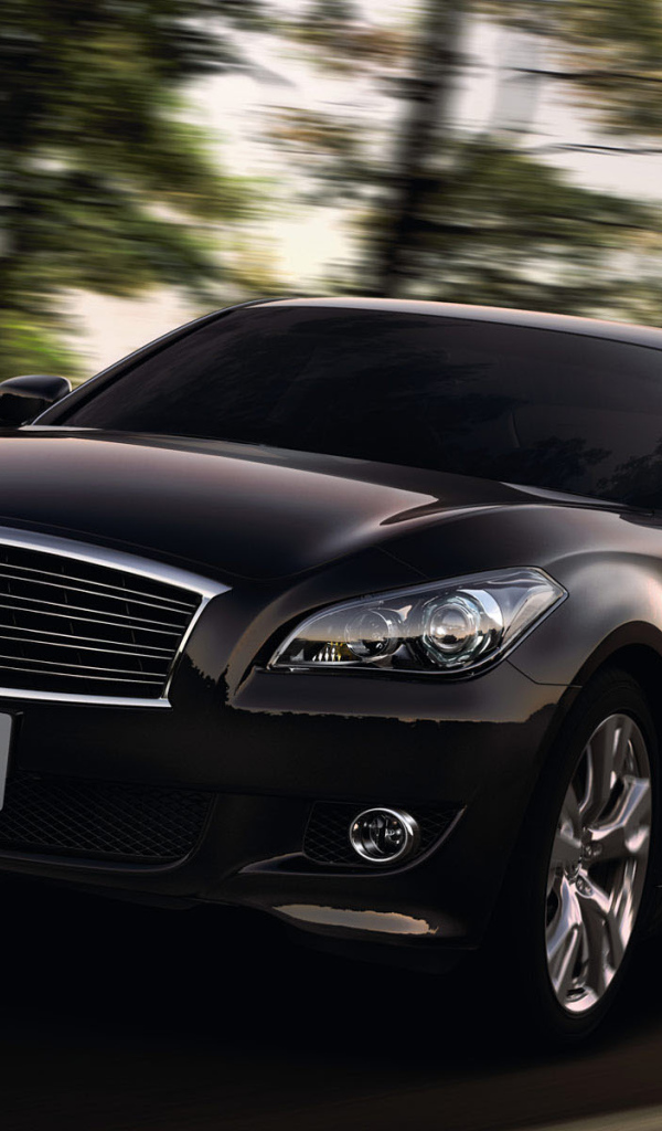 Nissan Fuga на прогулке