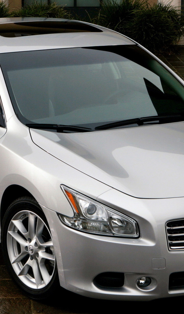 Ниссан Максима