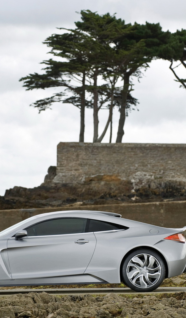 спортивный электрокар Exagon-Furtive