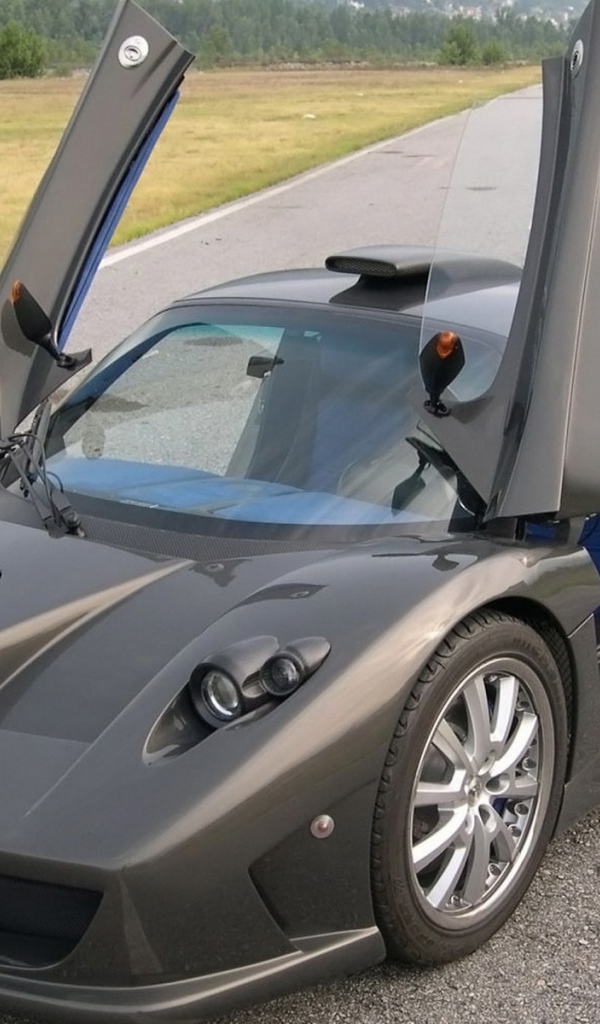 спортивный Simbol-Design-Lavazza