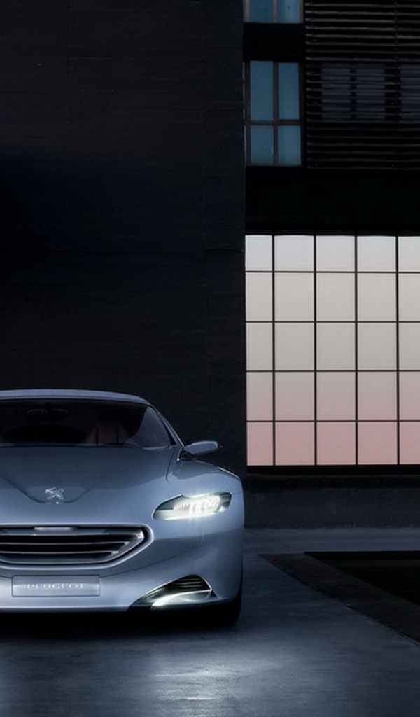 2010-Peugeot-SR1-Concept-Car