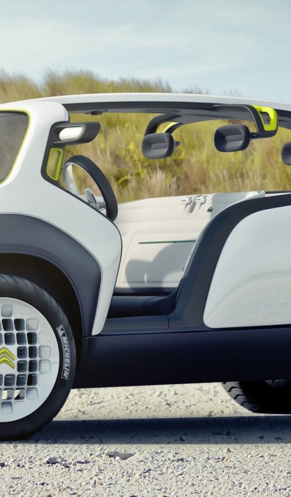 2010 Ситроен Концепт