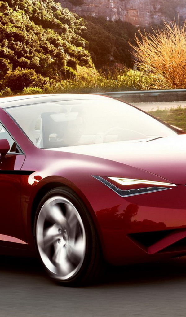 Сиат Париж Концепт