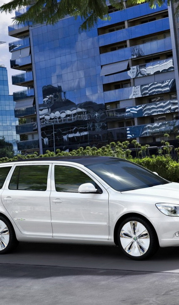 Шкода Октавиа Концепт