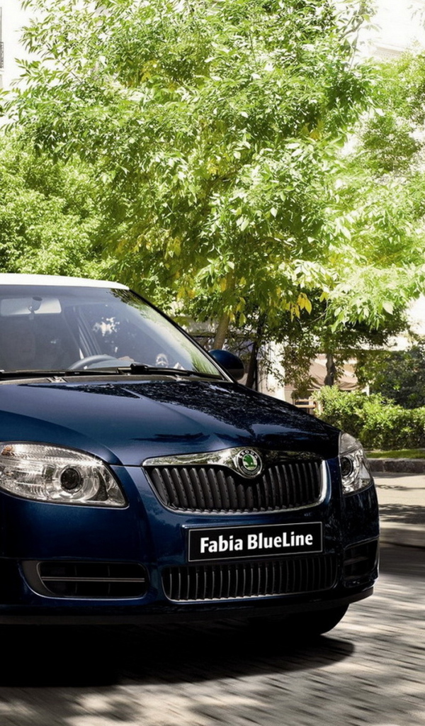 Skoda Fabia Blueline