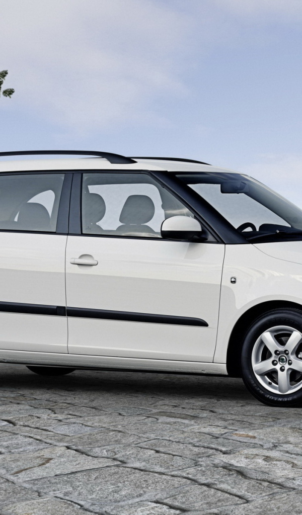 Шкода Фабиа Универсал