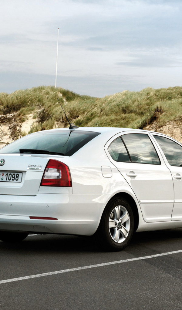 Skoda Octavia на парковке