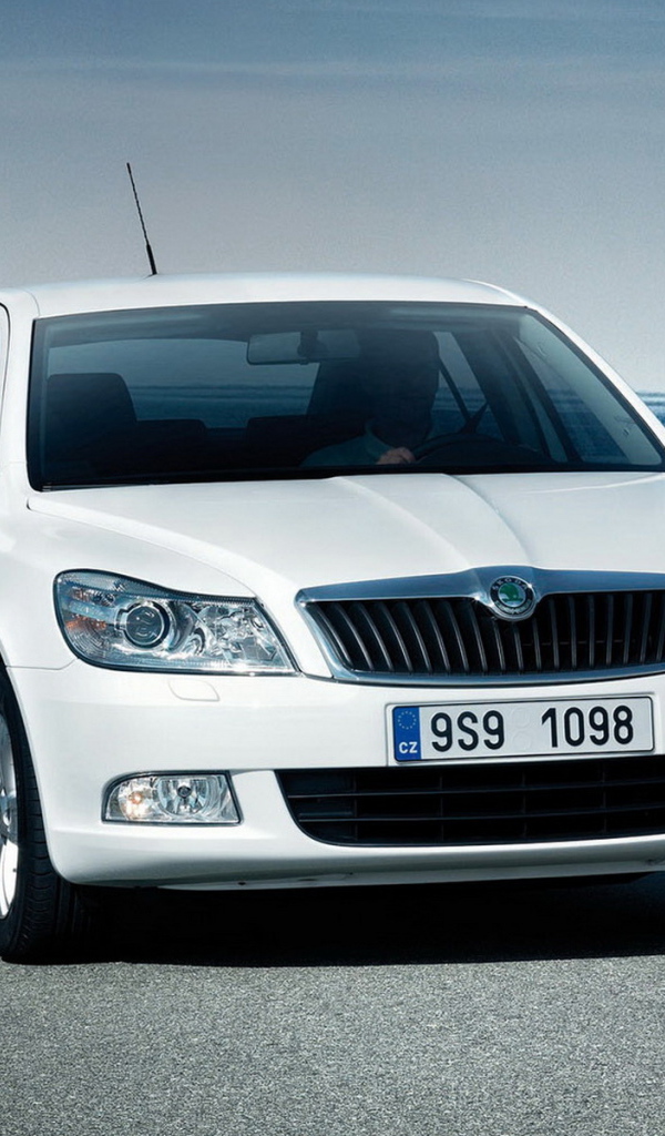 Шкода Октавия двигаясь вдоль воды