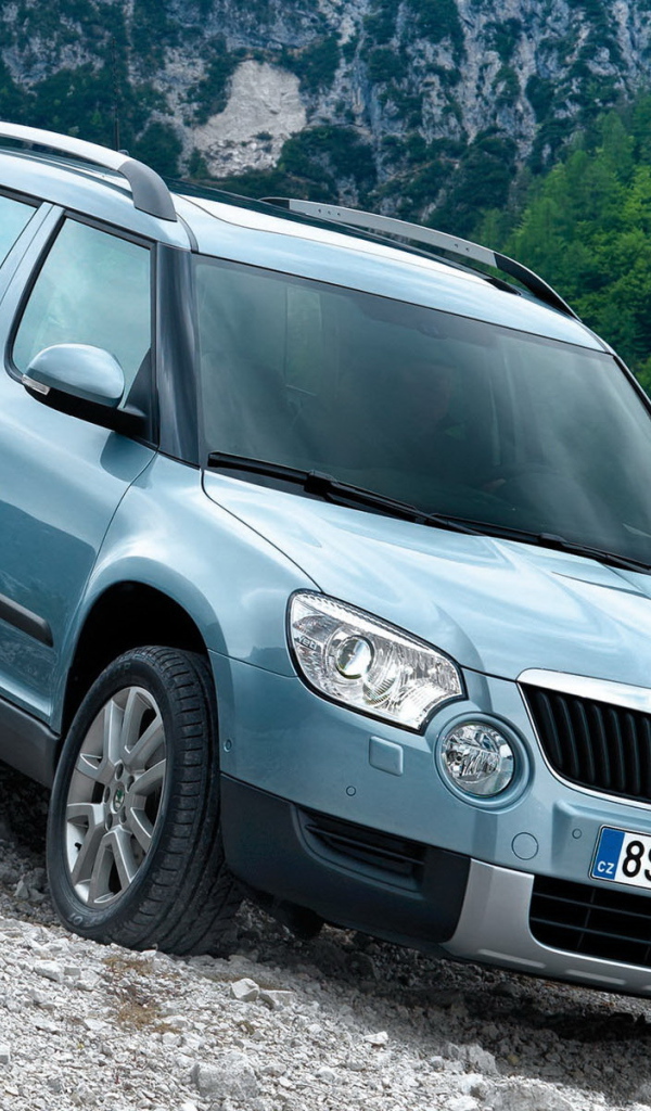 Шкода Йети вниз по склону