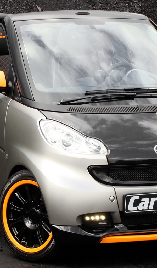 Карлссон Смарт 2010