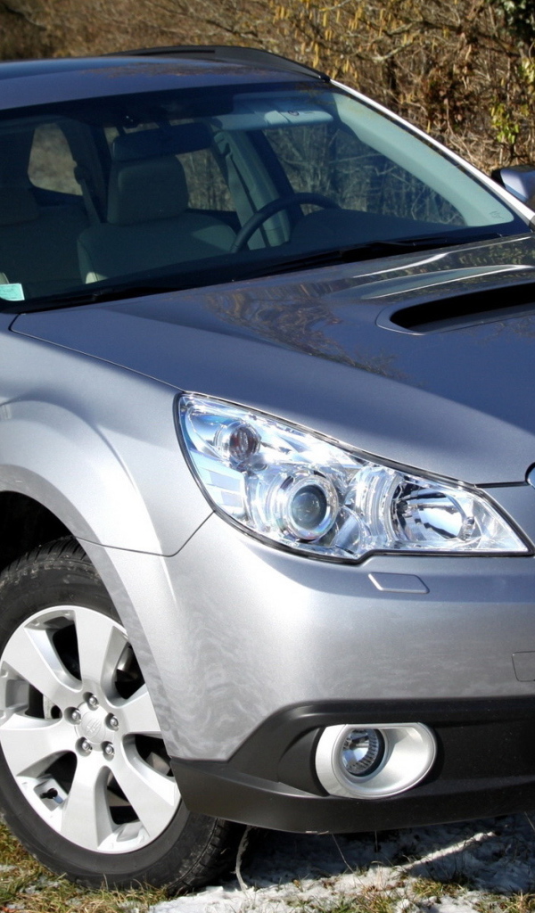 Прогулки на Cубару Аутбэк