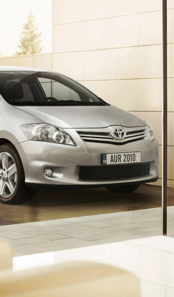 Toyota Auris возле дома