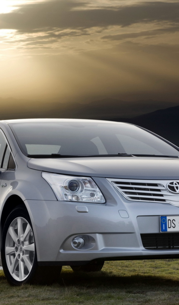 Toyota Avensis на возвышенности