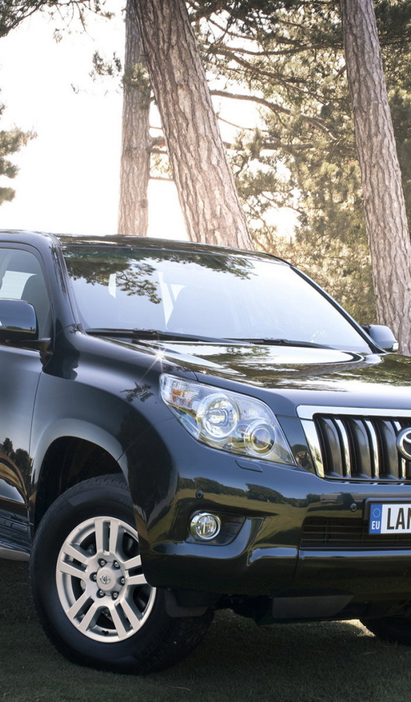 Тойота Лэнд Крузер в лесу