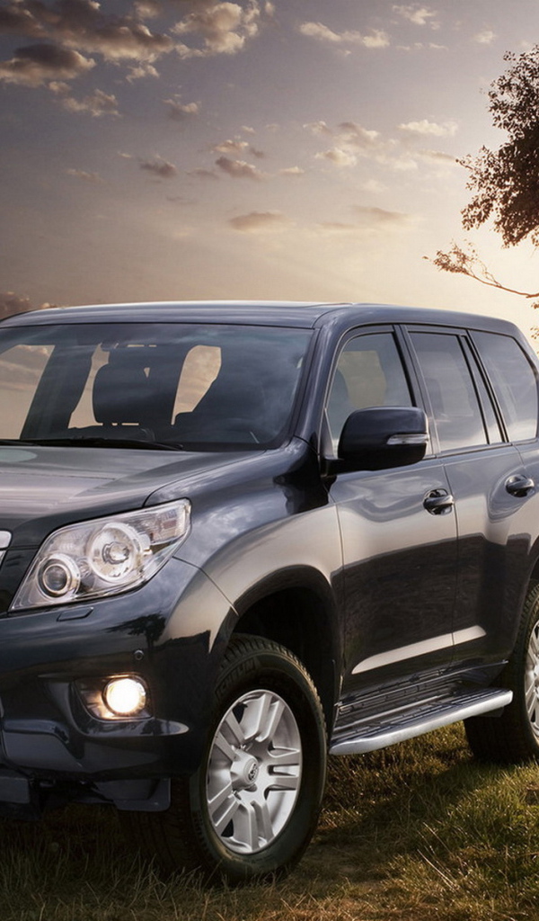 Toyota Land Cruiser возле дерева