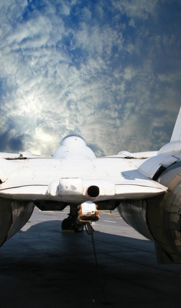 Реактивная, птичка