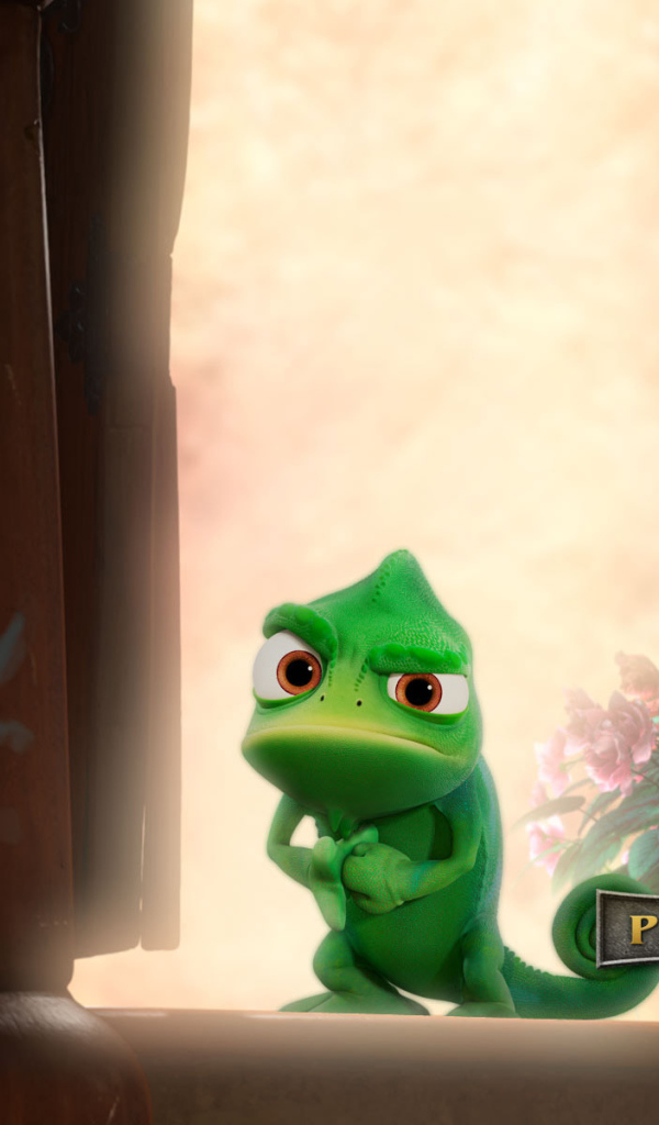 Рапунцель: Запутанная история