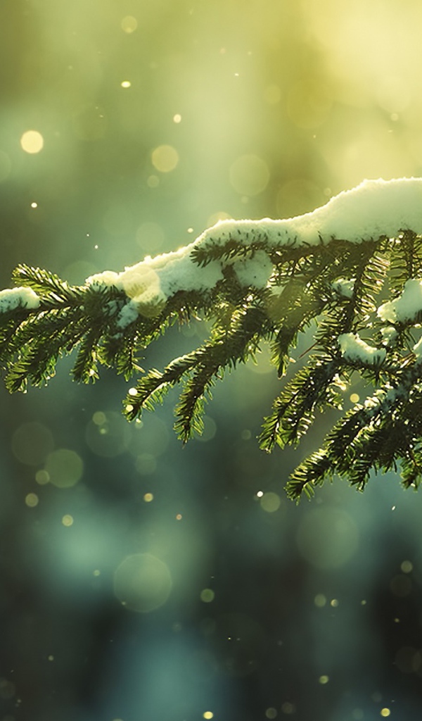 Рождественский снег