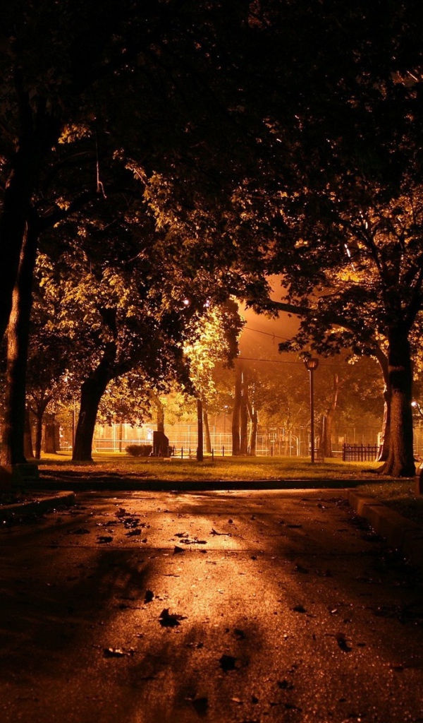 Ночь в городском парке