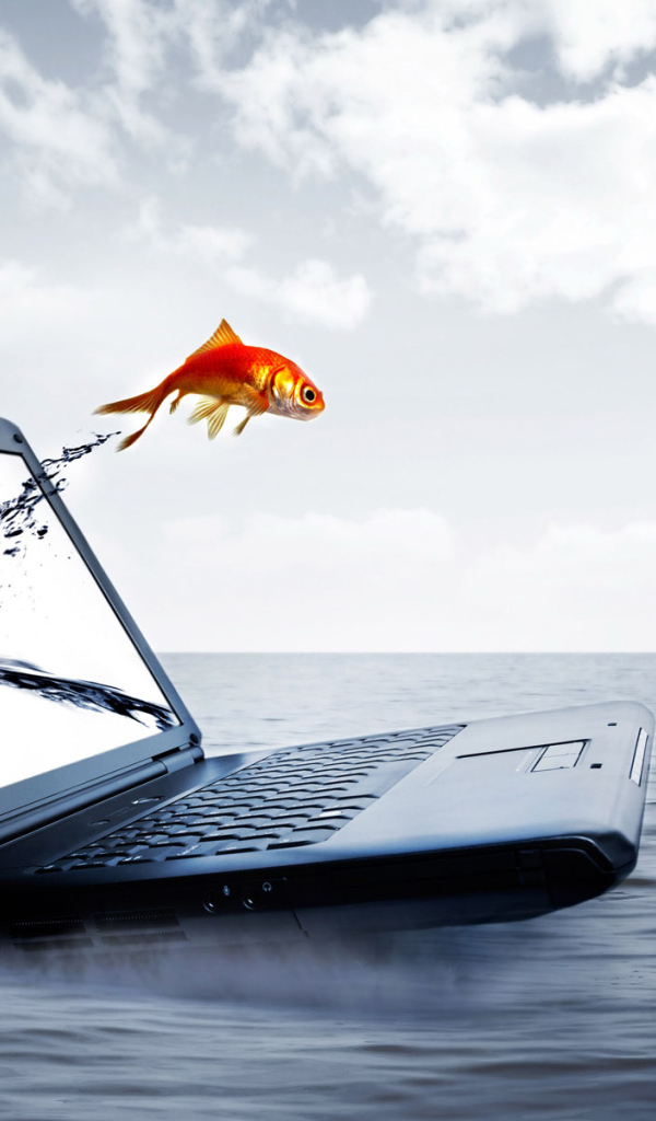 Ноутбук и рыбка