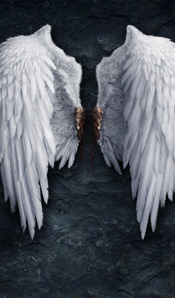 Крылья ангела