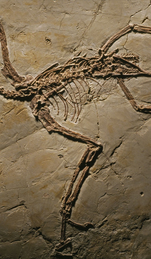 Археология