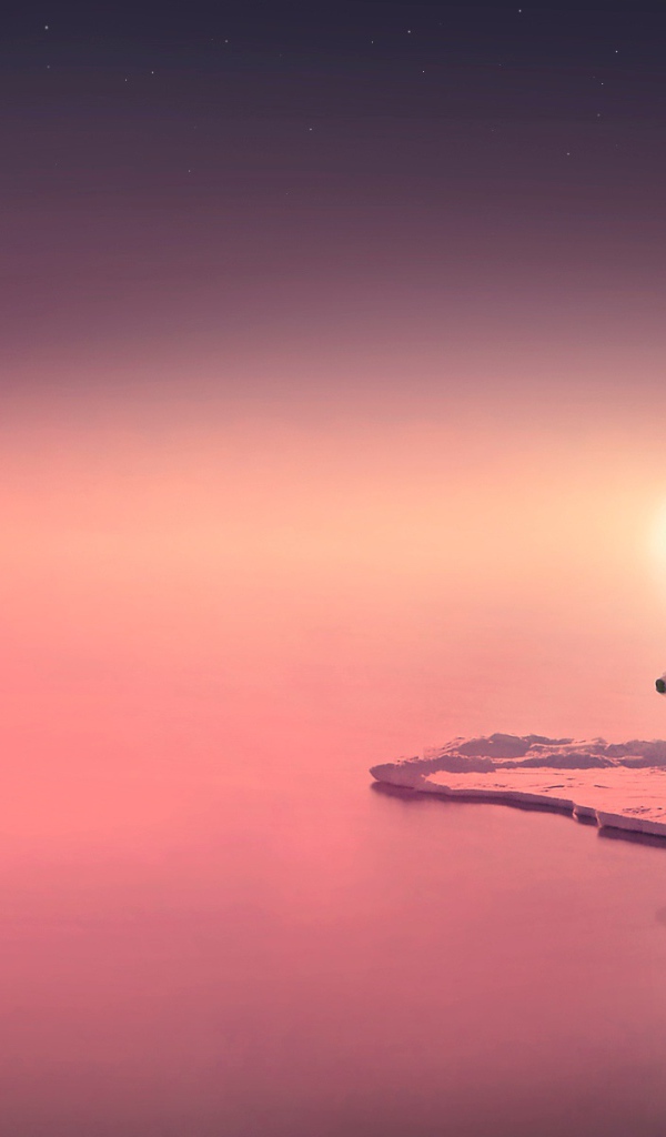 Медведь путешественник