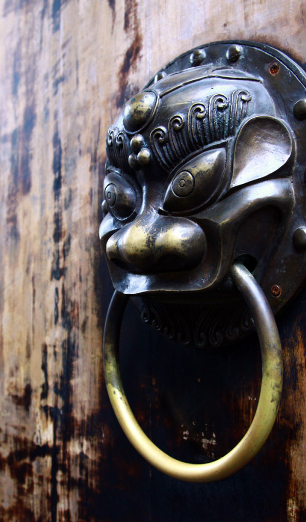 Китайские железные двери