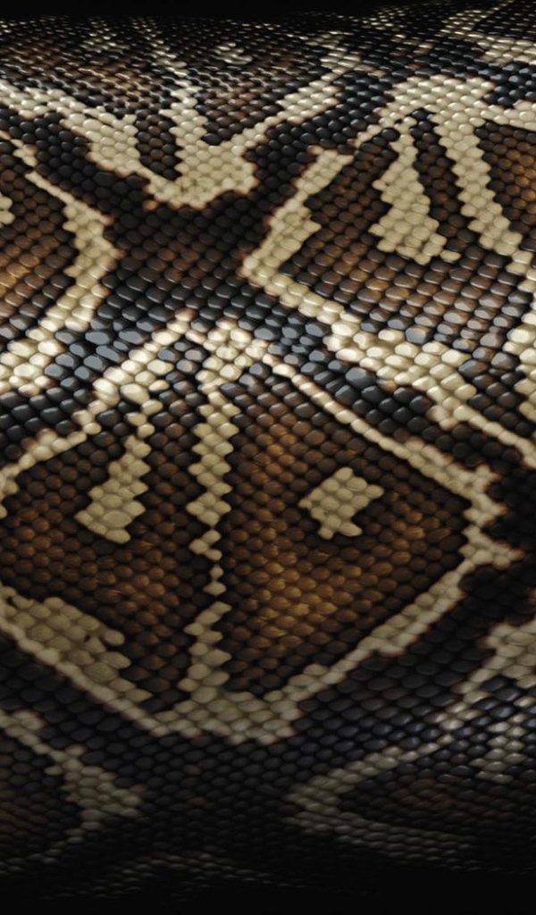 Змеиная кожа