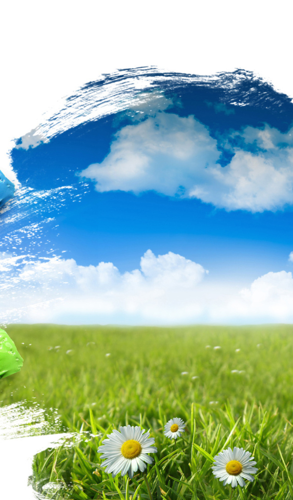 Полевые цветы