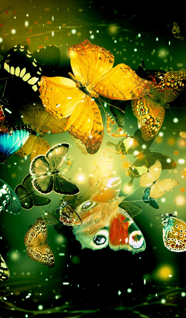 Яркие бабочки