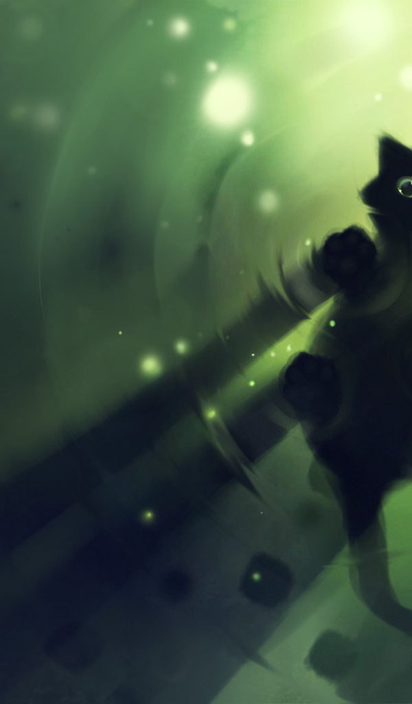 Надводный кот