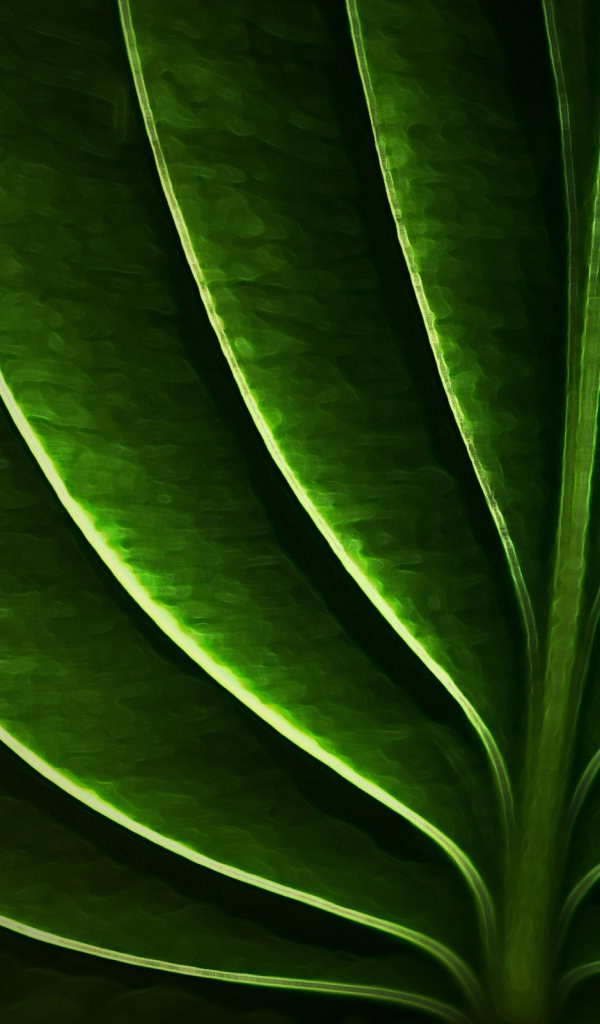 Неоновый листик