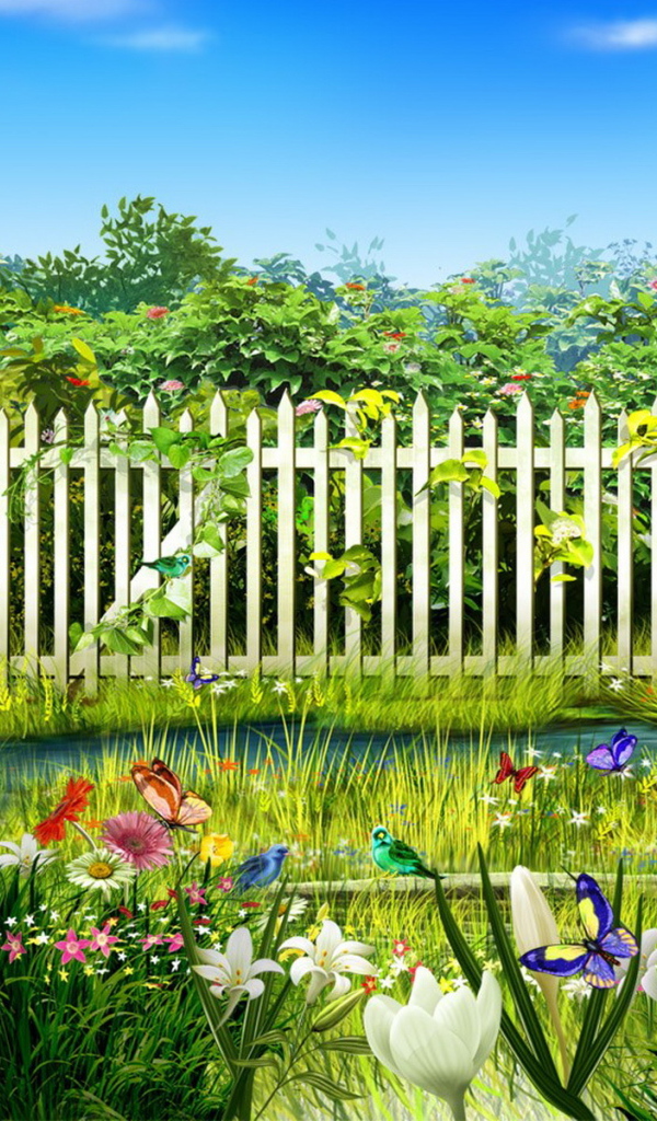 Дачный участок