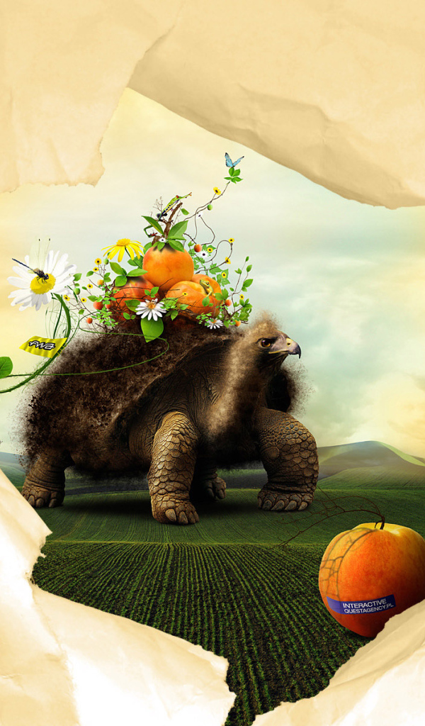 Черепаха и персики