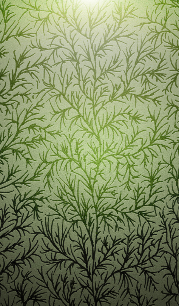 Ветки Лесная текстура