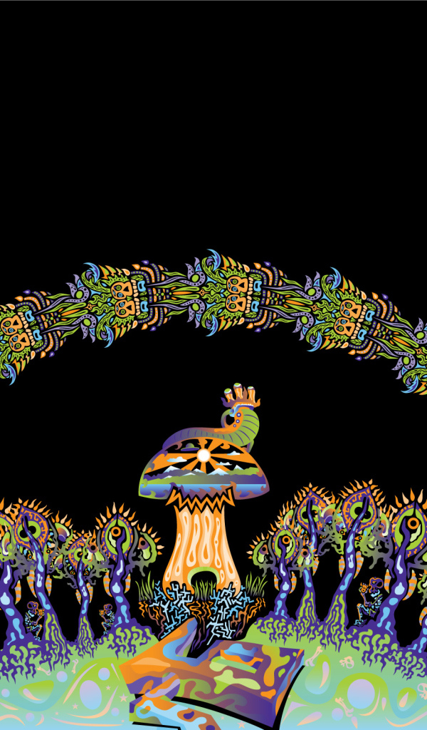 Грибной день