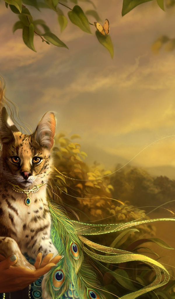 Голубоглазка