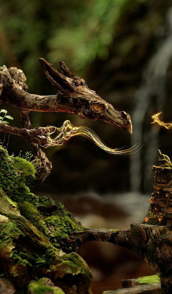 Дракон и лесная фея