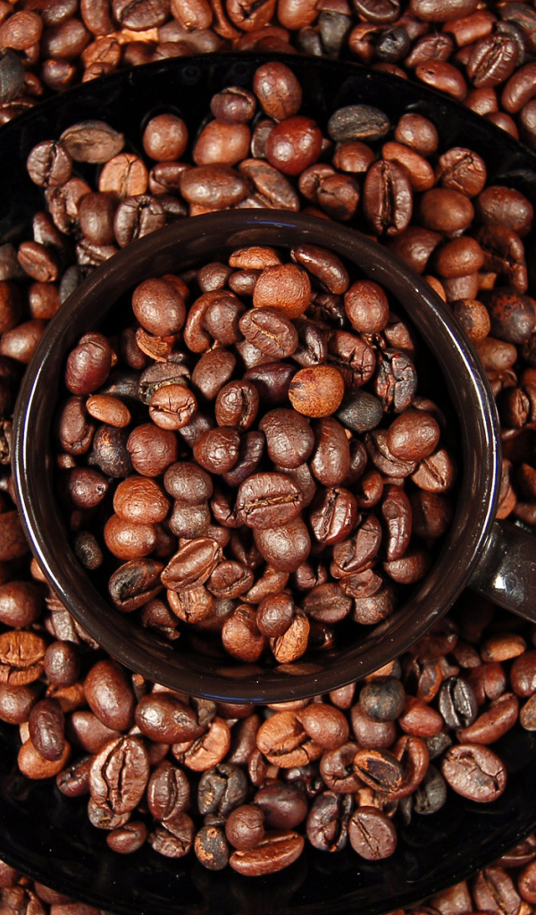 Кофейные зерна