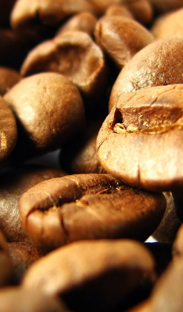 Кофейные зерна