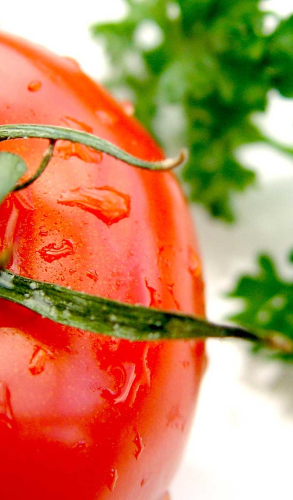 Сочный помидор