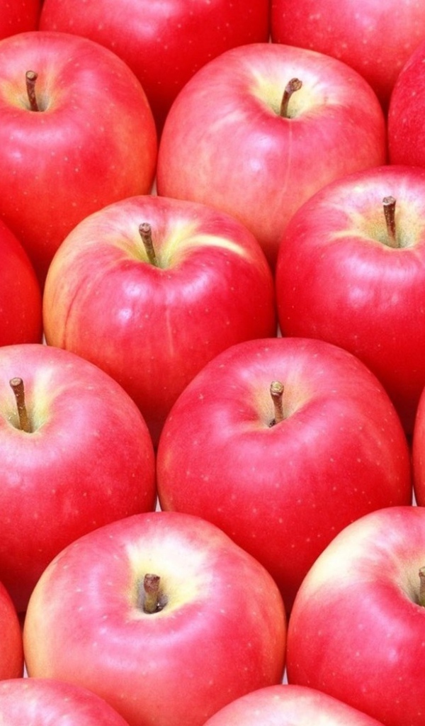 Яблочки