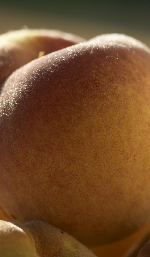 Свежие персики