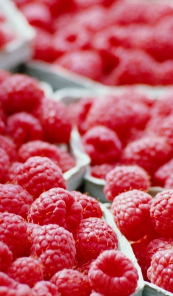 Стаканчики с малиной