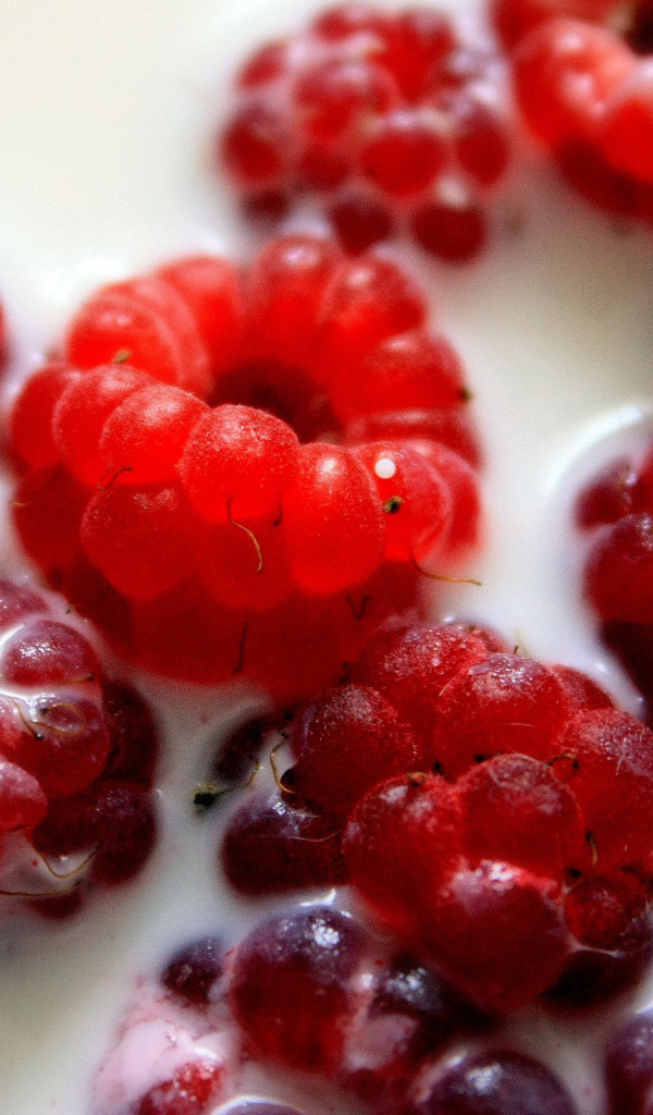 Малина в молоке