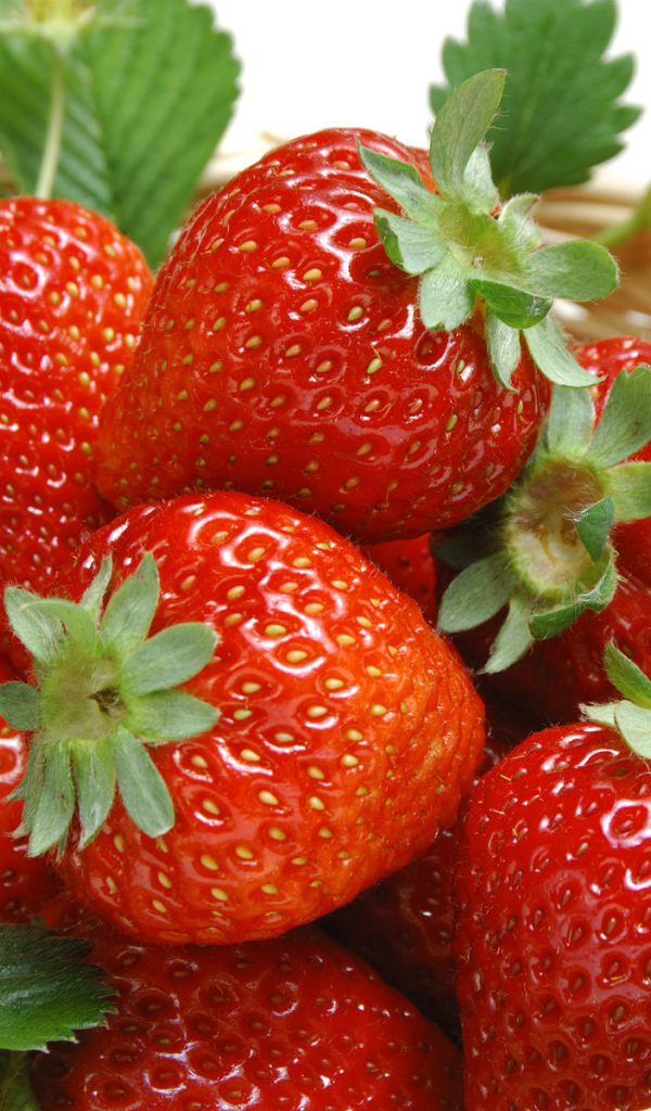 Спелая клубника